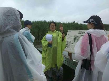 ChinaJuly2015Dongtan_414x310